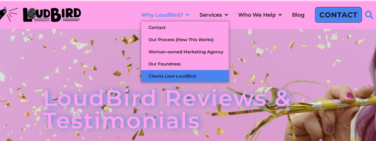 loudbird testimonials and reviews website page example loudbirdmarketing.com